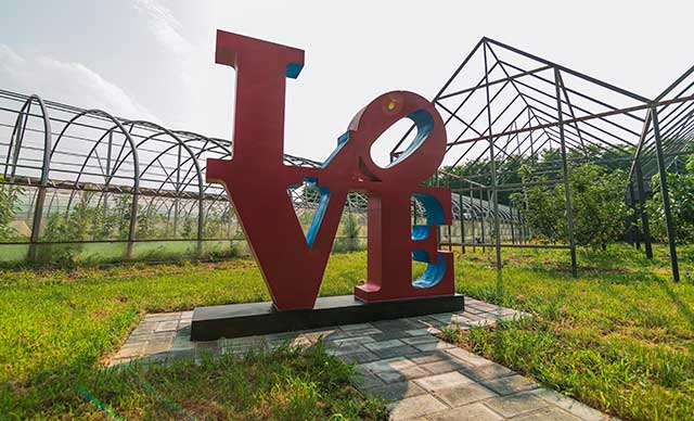 西安市·周至县·萌梅子庄园营地